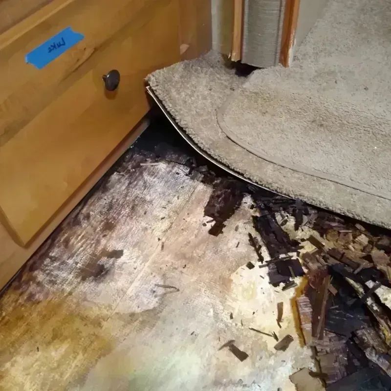 Wood Floor Water Damage in Pueblo, CO